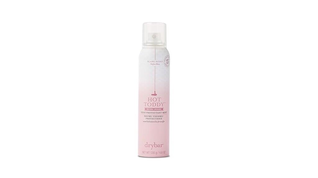 heat protection for hair