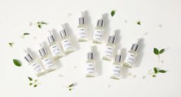 top niacinamide serums 2025