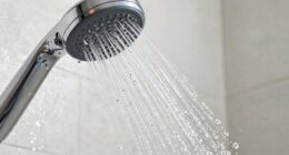 shower water quality impact
