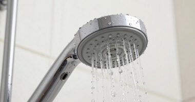 effects of shower filters