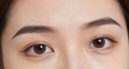 eyebrow contour transformation