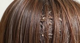 hair porosity affects product absorption