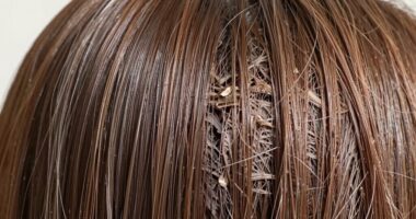 hair porosity affects product absorption