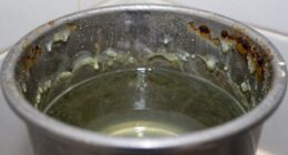 moisture causes bacteria growth