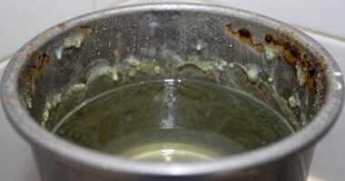 moisture causes bacteria growth