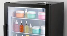 what belongs in skincare fridge