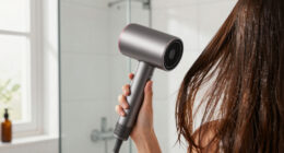 10 Best Professional Ionic Hair Dryer for Fast Drying in 2026