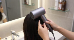 12 Best Top Rated Portable Hooded Hair Dryer For Home Use In 2026