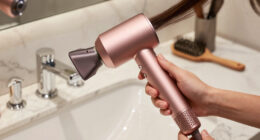 15 Best Luxury Hair Dryer For Fine Hair In 2026