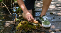Vans’ Mossy Authentic Sneaker Shines From The Swamp