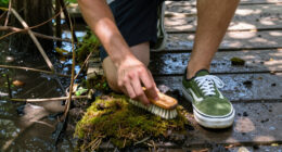 Vans’ Mossy Authentic Sneaker Shines From The Swamp
